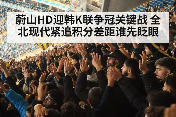 football fans cheering stadium