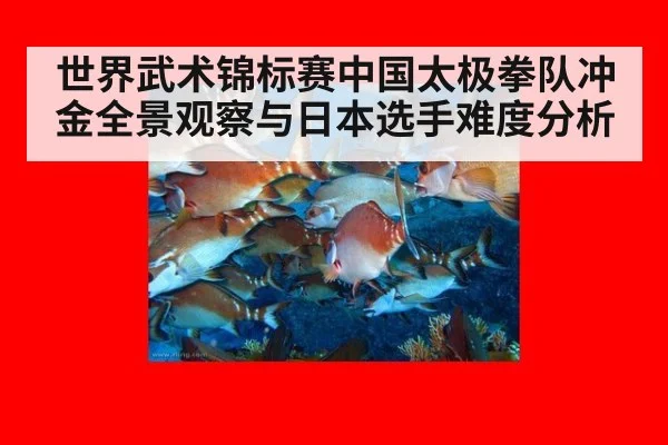 世界武术锦标赛中国太极拳队冲金全景观察与日本选手难度分析